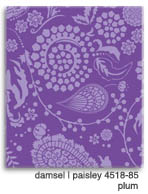 paisley plum carina gardner