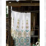 anthropologie