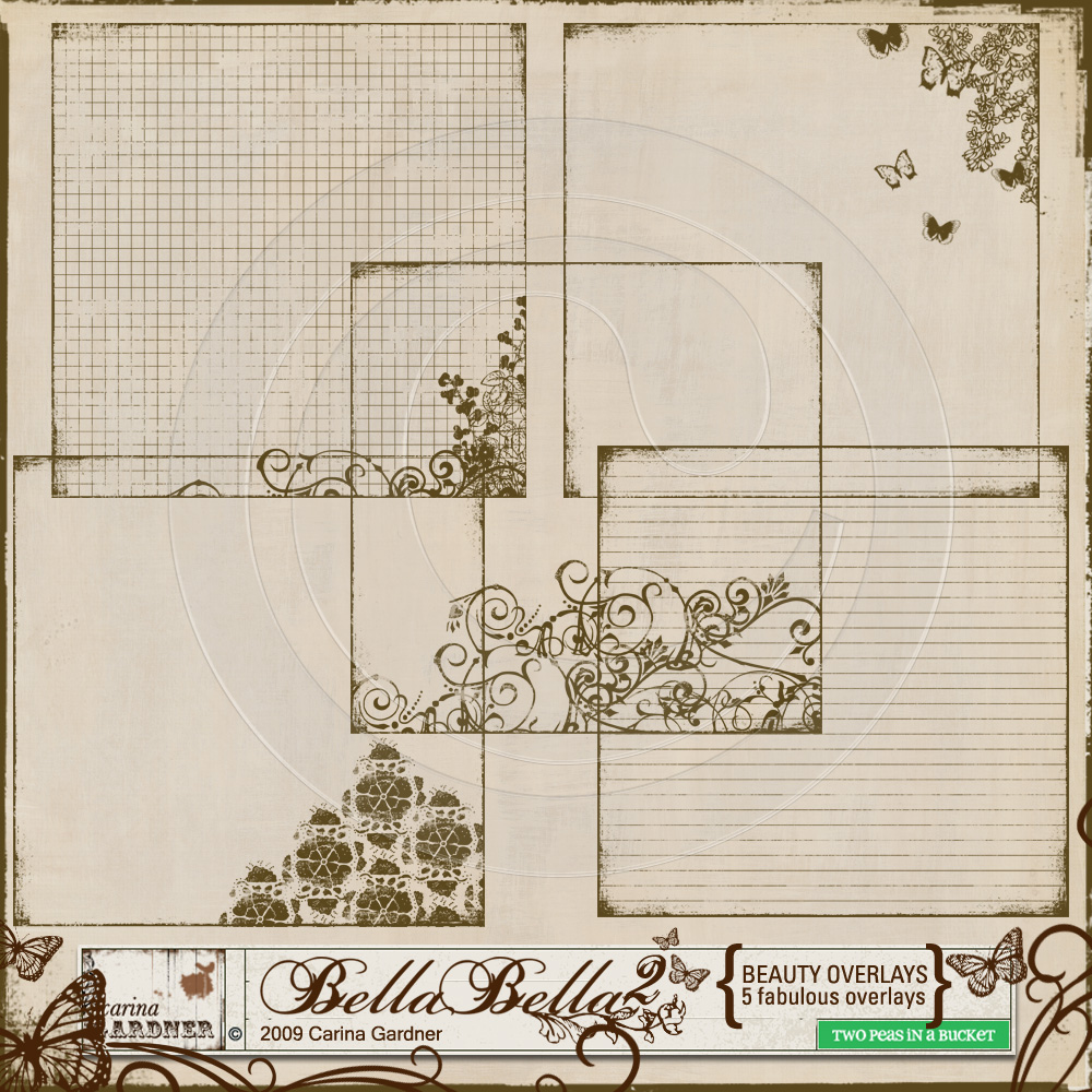 carinagardner_2ps_bellabella_beautyoverlaysprev