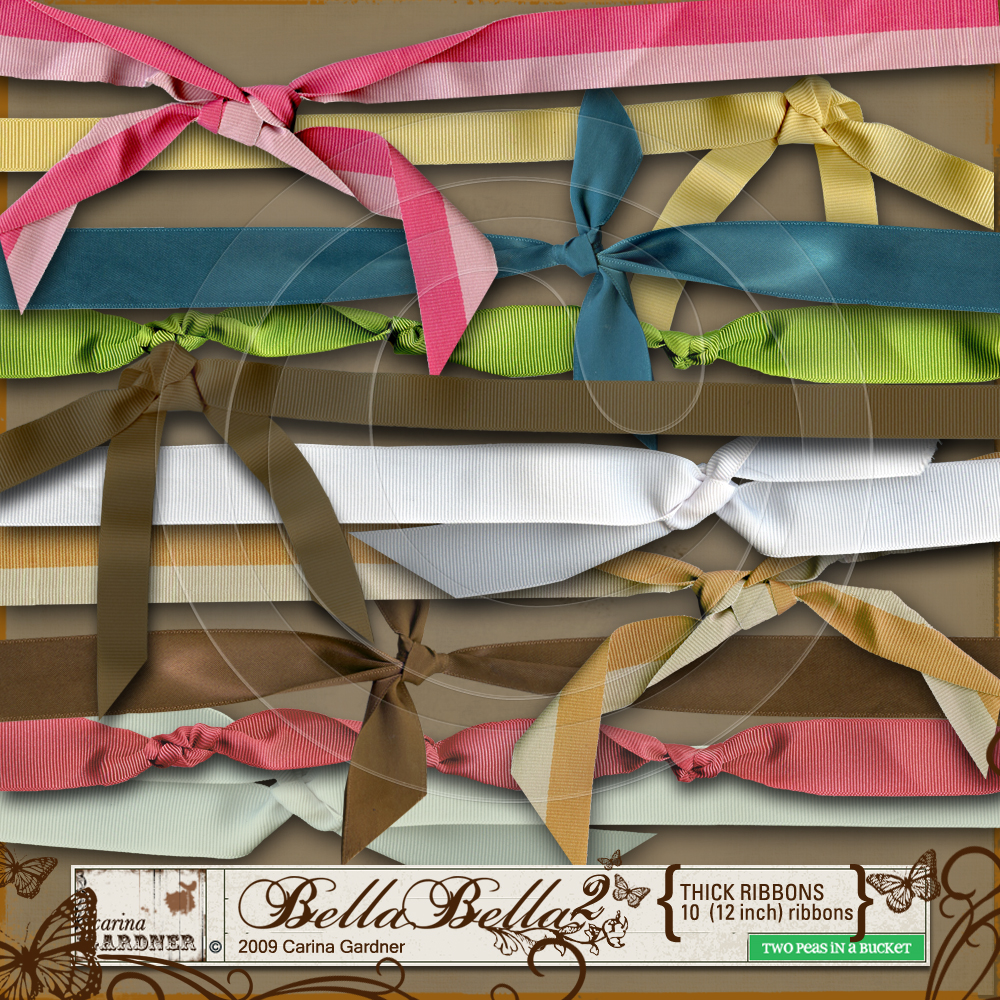 carinagardner_2ps_bellabella_thickribbonsprev