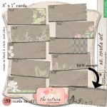 carinagardner_2ps_peonyplace_extras_nocardsprev