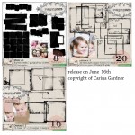 carinagardner_release