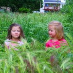 img_47481