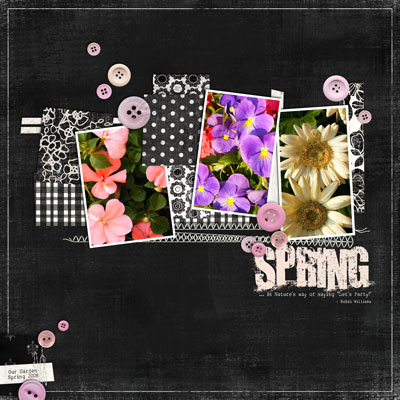 katherine_my-garden-carina katherine_my-garden-carina