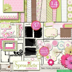 carinagardner_2ps_sproutletsprev