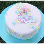 beans-birdie-cake72