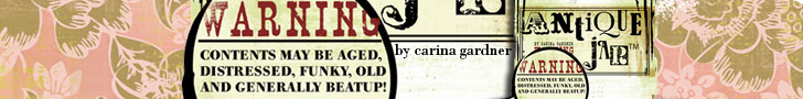 carinagardner_2ps_antiquejar_banner